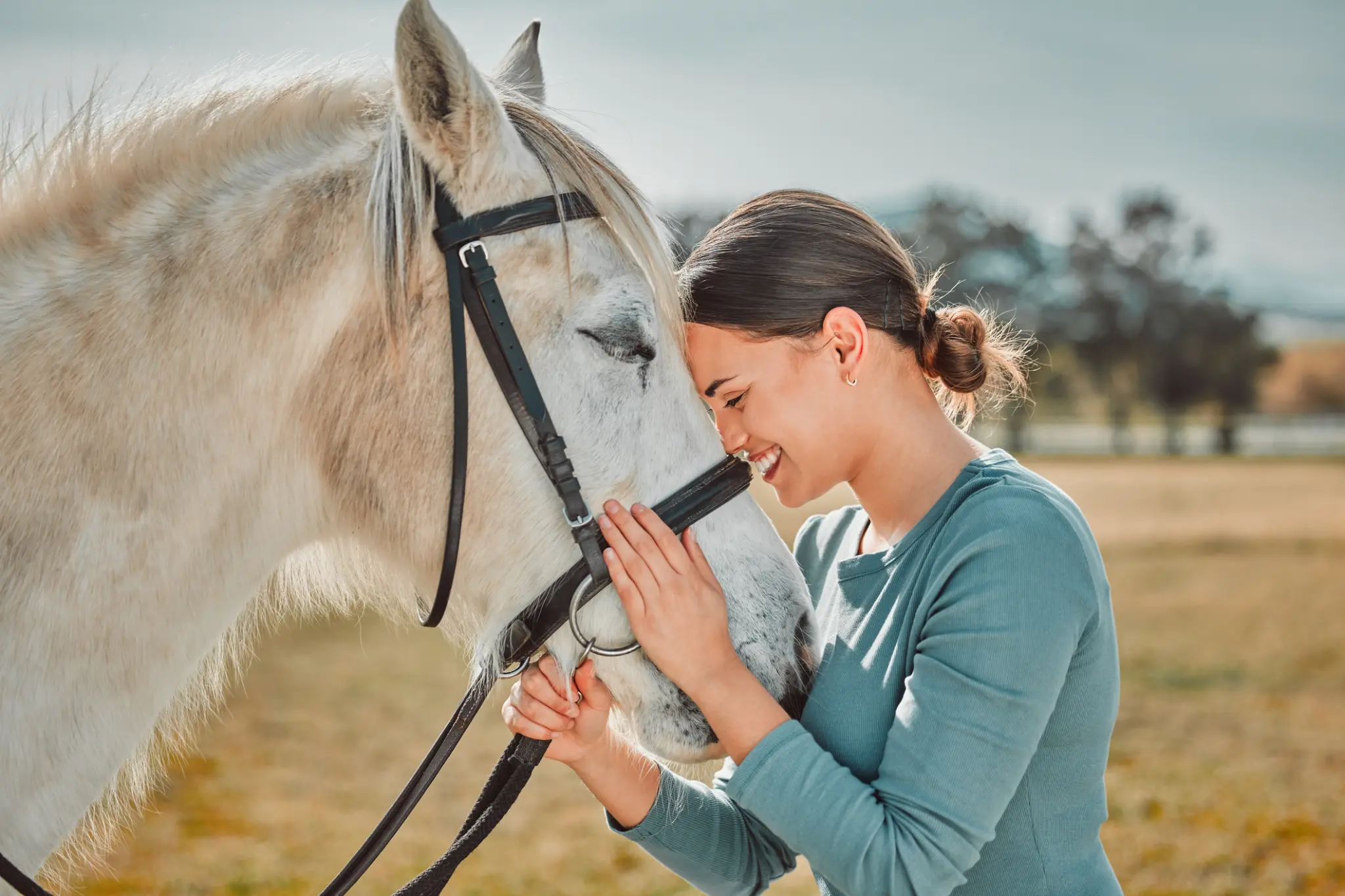 Equine-Assisted Therapy